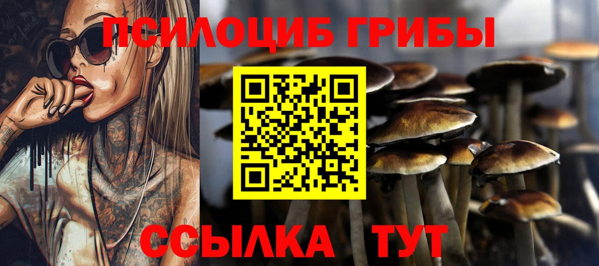 даркнет сайт  Галлюциногенные грибы Psilocybine cubensis  Вход с VPN  Псилоцибиновые грибы мицелий  Хасавюрт 